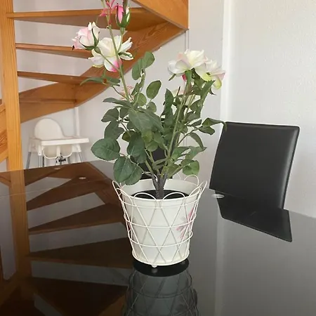 Casa Martina *